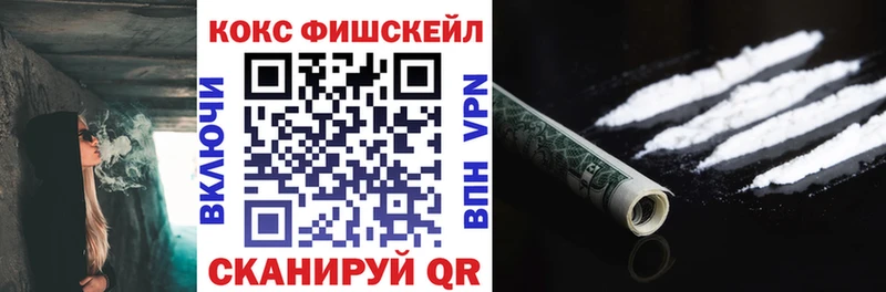 где купить наркоту  площадка Telegram  Cocaine FishScale  Выкса 