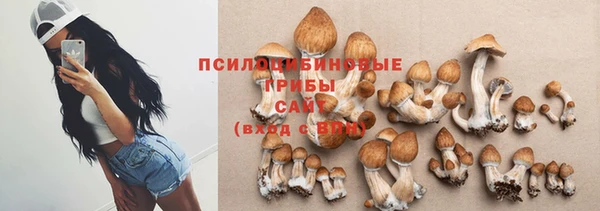 ALPHA PVP Алзамай