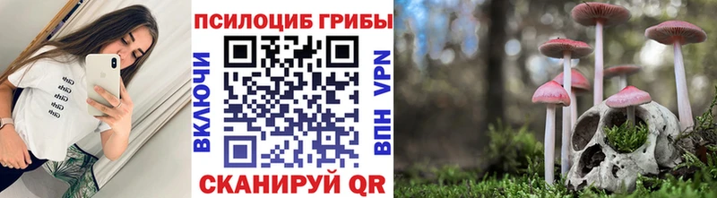 Псилоцибиновые грибы Psilocybine cubensis  хочу наркоту  kraken tor  Выкса 